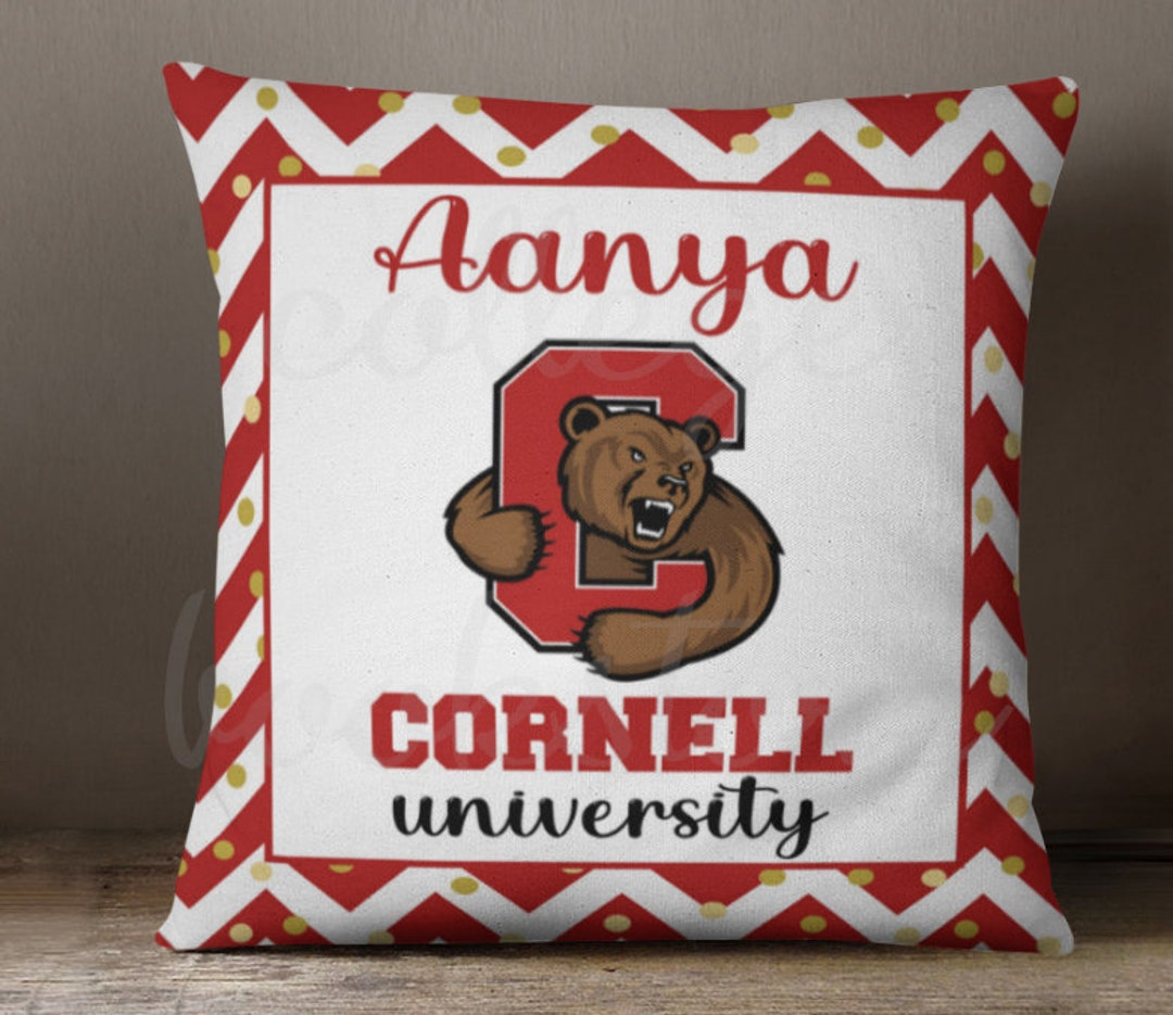 Custom COLLEGE Logo Decorative Throw Pillow With Insert Dorm Room Bed Party College & High