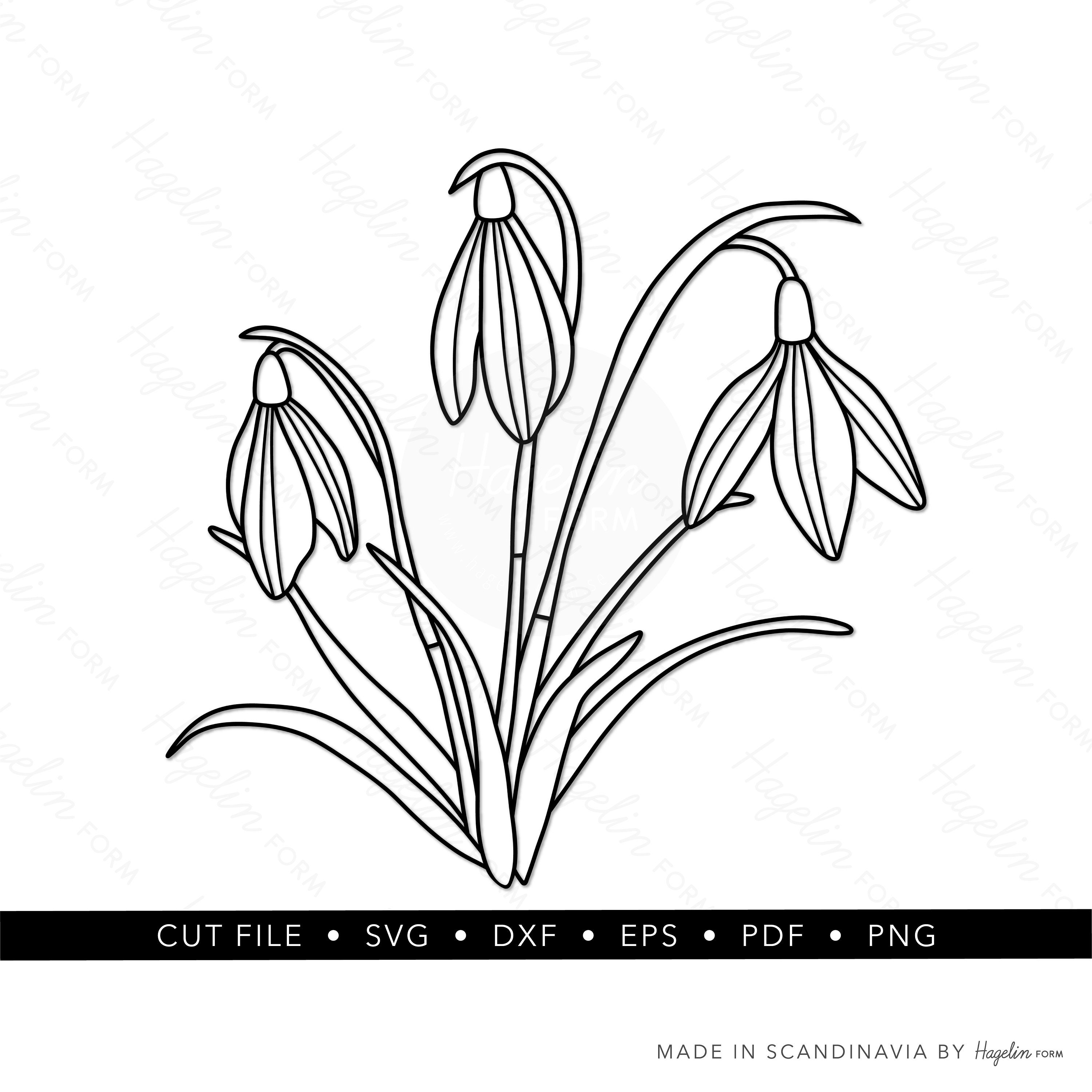 Free Free 321 Snowdrop Flower Svg SVG PNG EPS DXF File