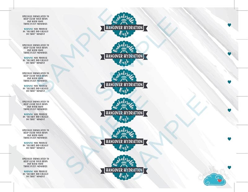 Bachelorette Water Bottle Labels Digital Download Hangover | Etsy