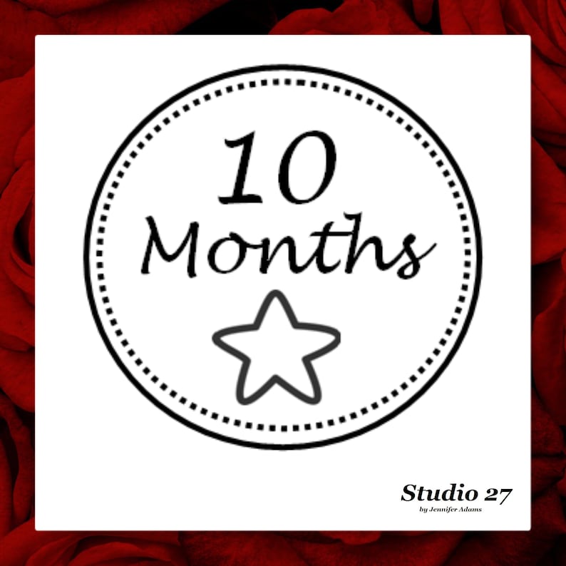 Download Baby SVG Instant Download Baby Milestone 10 Months Star | Etsy