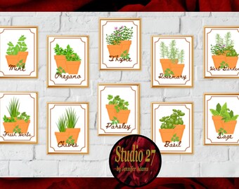 Herb Garden Art Print: Kitchen Botanical Wall Decor (Instant Download JPG PNG PDF)