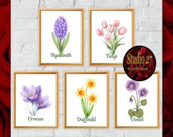 Spring Flowers Art  Poster Collection  JPG/PNG/PDF - Digital Download - Tulip, Daffodil, Crocus, Violet, Hyacinth
