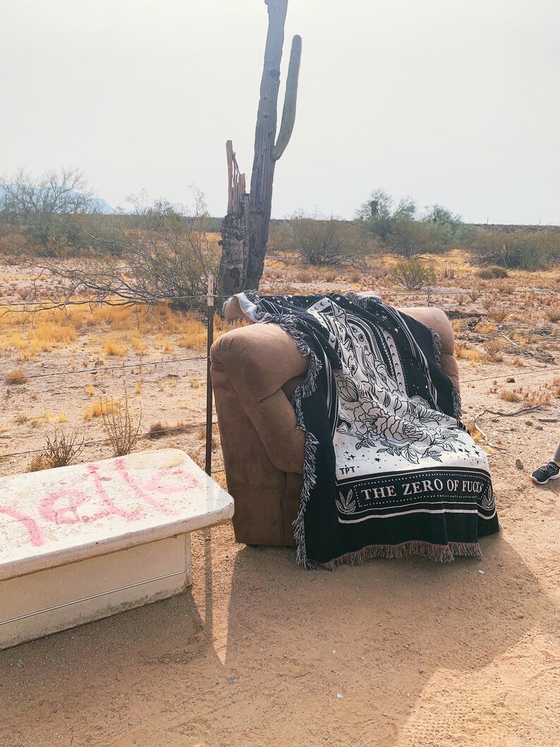 May include: A brown armchair with a black and white throw blanket with the text "The Zero of Flux" on it. The chair is in a desert setting with a cactus in the background.