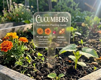 Large Acrylic Garden Marker — Weatherproof Plant Tag Gift for Mom & Gardener Companion Garden Guide Label for Potted Vegetable Fruit