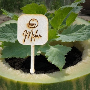 Custom Garden Markers for Herb, Fruit, and Veggie Garden. Made of Wood or Acrylic Veggie Plant Stakes and Herb Markers by designLEE Studio