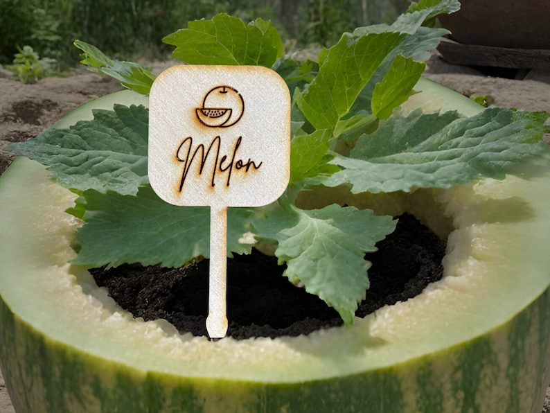 Custom Garden Markers for Herb, Fruit, and Veggie Garden. Made of Wood or Acrylic Veggie Plant Stakes and Herb Markers by designLEE Studio