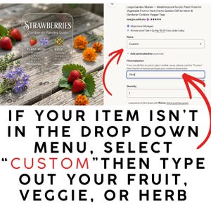 May include: A clear acrylic garden marker with the word "STRAWBERRIES" and a companion planting guide. The guide lists plants to plant with and avoid. The image also shows text that says "IF YOUR ITEM ISN'T IN THE DROP DOWN MENU, SELECT "CUSTOM" THEN TYPE OUT YOUR FRUIT, VEGGIE, OR HERB."