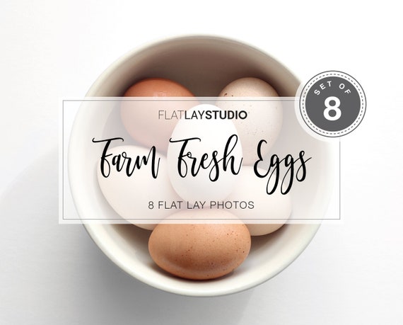 Download Free Egg Stock Photos Set Of 8 Flat Psd All Download Product Psd Mockup Packaging For Bottle Psd Mockup Product PSD Mockup Templates