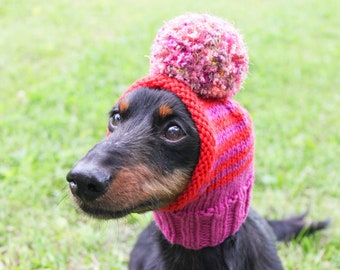 Dog Hat in Pink and Red With Pom Pom