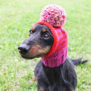 Dog Hat in Pink and Red With Pom Pom