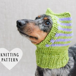 KNITTING PATTERN, Dachshund Clothes, Dog Hats, Dog Accessories, Dog Fashion, Kitty Dachshund Hat, Kitty Cat Dog Hat, Dog Gift, Dog Lover