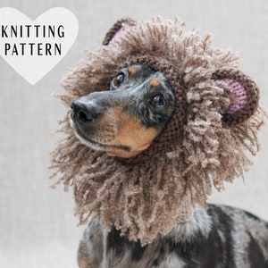 KNITTING PATTERN, Lion Dog Hat, Lion's Mane, Lion Dog Costume, Dog Costume, Lion, Knitted Dog Hat, Small Dog Hat, Leo, Mini Dachshund Hat