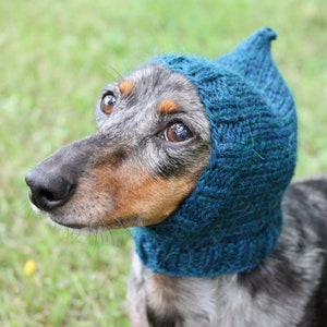 Dog Hat in Dark Turquoise Made Out of All Natural Alpaca Yarn image 1