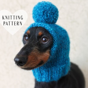 KNITTING PATTERN, Pom-Pom Dog Hat, Mini Dachshund Dog Hat, Small Dog Hat, Quick Knit, Knitted Dog Hat, Knit Dog Hat, Little Dog Hat, Pet Hat