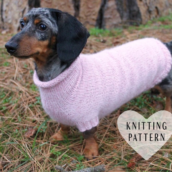 Patrón de tejido para suéter de perro salchicha miniatura: Doxie Knit sin costuras (patrón PDF)