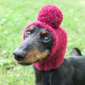 Dog Hat in Red Yarn With Pom-Pom
