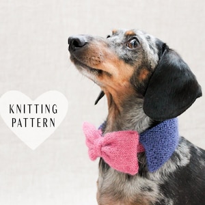 May include: A dachshund wearing a knitted purple and pink bow tie. The text "Knitting Pattern" is in a white heart shape.