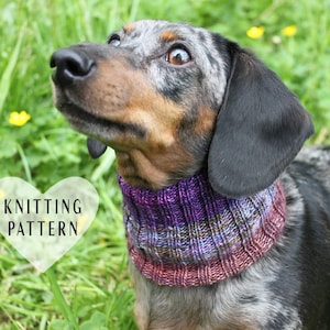Dachshund Neck Warmer KNITTING PATTERN: Dog Cowl (PDF Pattern)