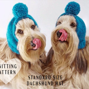 KNITTING PATTERN, Dog Hat, Standard Sized Dachshund, Pom-Pom Dog Hat, Knitted Dog Hat, Dog Gift, Dog Clothes, Dog Fashion, Dog Hats, Dogs