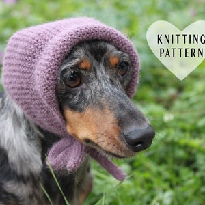 KNITTING PATTERN, Mini Dachshund, Dog Hat, Dog, Dachshund, Knit, Knitted, Pet Clothes, Alpaca