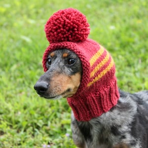 Dog Hat in Red and Gold Natural Wool Yarn