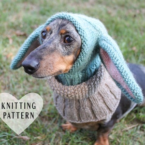 KNITTING PATTERN Small Dog Hat Costume