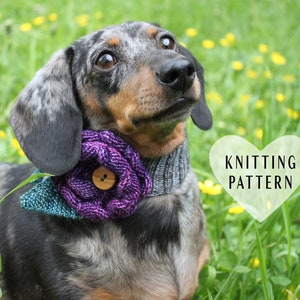 KNITTING PATTERN, Little Dog Corsage, knit flower, knitted flower, knitted decoration, pet clothes, dog, dogs, mini, dachshunds, doxie, pets