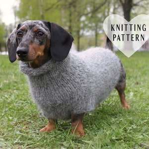 KNITTING PATTERN, Fuzzy Dachshund Sweater, oversized, dog, sweater, pet clothes, mini, doxie, knit, knitted, top down, dog sweater, DIY