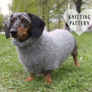 Doxie sweater cheap