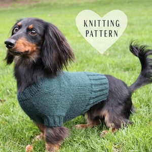 May include: A black and tan dachshund wearing a teal knitted sweater, standing on green grass. The text "Knitting Pattern" is written in a white heart shape above the dog.