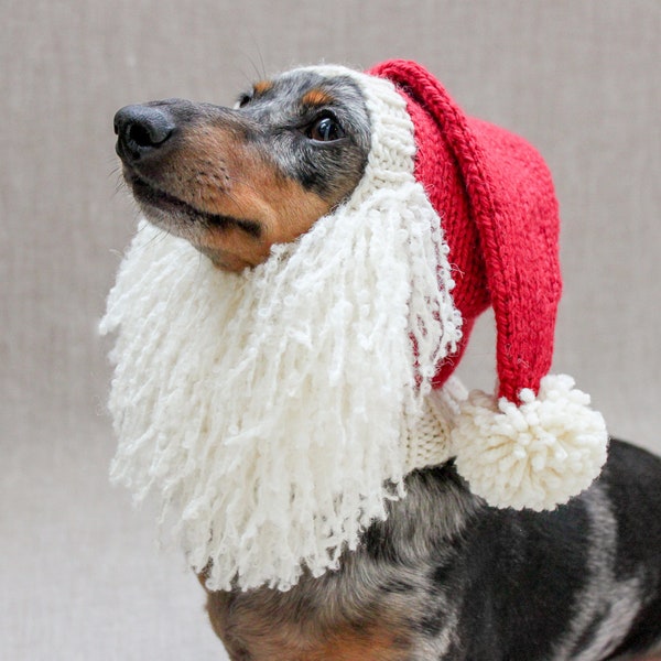 Santa Beard Dog Hat Costume in Vintage Christmas Style
