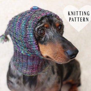 May include: A dachshund wearing a colorful knitted dog hat with a blue button on top. The hat has a long tassel. The dog is looking to the right. The text "KNITTING PATTERN" is in a white heart shape in the upper right corner of the image.