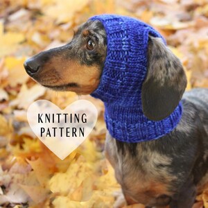 May include: A dachshund wearing a blue knitted hood, set against a backdrop of autumn leaves. The text "KNITTING PATTERN" is overlaid on the image. The dog's coat is a mix of gray and brown.