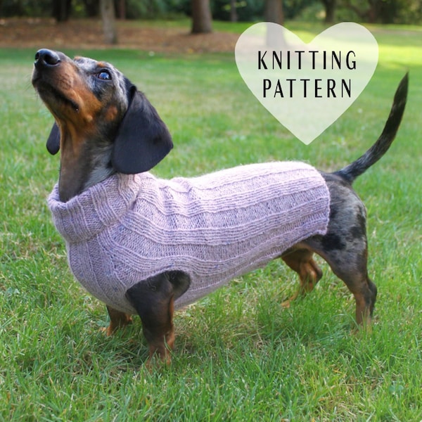Patrón de tejido de suéter para mini perro salchicha: Ropa para perro salchicha de arriba a abajo (patrón PDF)