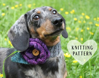 KNITTING PATTERN, Little Dog Corsage, knit flower, knitted flower, knitted decoration, pet clothes, dog, dogs, mini, dachshunds, doxie, pets