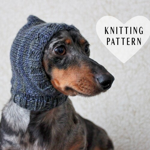 wiener dog hat
