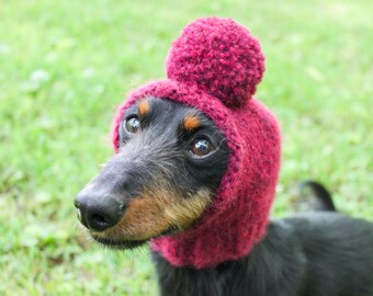 Dog Hat in Red Yarn With Pom-Pom