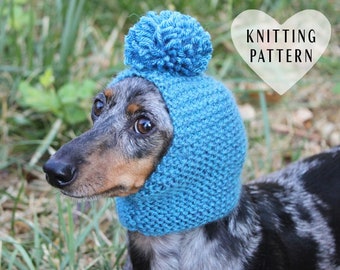 KNITTING PATTERN Beginner Level Garter Stitch Small Dog Hat PDF Knitting Instructions