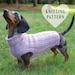 see more listings in the Mini Dachshund Patterns section