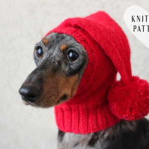 KNITTING PATTERN, Small Dog Hat, Dachshund Hat, Mini Dachshund Hat, Wiener Dog Hat, Pet Hat, Dog Clothes, Knitted Little Dog Hat, Knit Hat