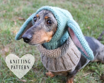 May include: A dachshund wearing a teal blue knitted dog sweater with a hood and bunny ears. The sweater has a brown knitted collar. The dog is sitting on green grass. The text "Knitting Pattern" is in a white heart shape.