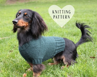 Dachshund Dog Sweater Knitting Pattern: Seamless, Unisex (PDF Pattern)