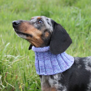 Small Dog Cowl 100% Natural Wool Purple Neck Warmer image 1