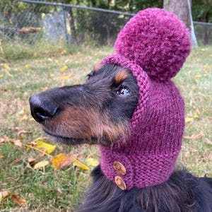 May include: A dachshund wearing a knitted purple hat with a large pom-pom on top. The hat has a neck warmer with two wooden buttons. The dog has black and brown fur and is in a grassy outdoor setting.
