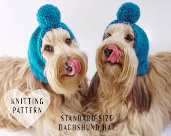 KNITTING PATTERN, Dog Hat, Standard Sized Dachshund, Pom-Pom Dog Hat, Knitted Dog Hat, Dog Gift, Dog Clothes, Dog Fashion, Dog Hats, Dogs