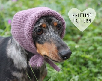 KNITTING PATTERN, Mini Dachshund, Dog Hat, Dog, Dachshund, Knit, Knitted, Pet Clothes, Alpaca