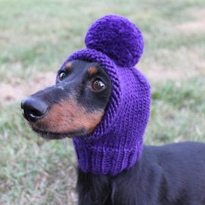 Dog Hat in Royal Purple Knit out of Eco Friendly all Natural Wool