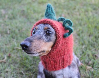 Pumpking Small Dog Hat Costume