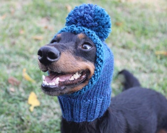 Blue Dog Hat in All Natural Wool and Alpaca