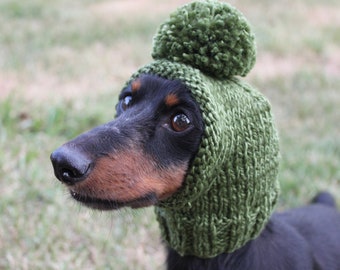 green dog hat